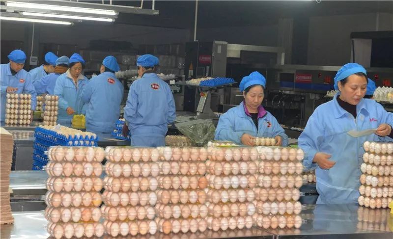 (图为:爱仕达机器人造锅忙)