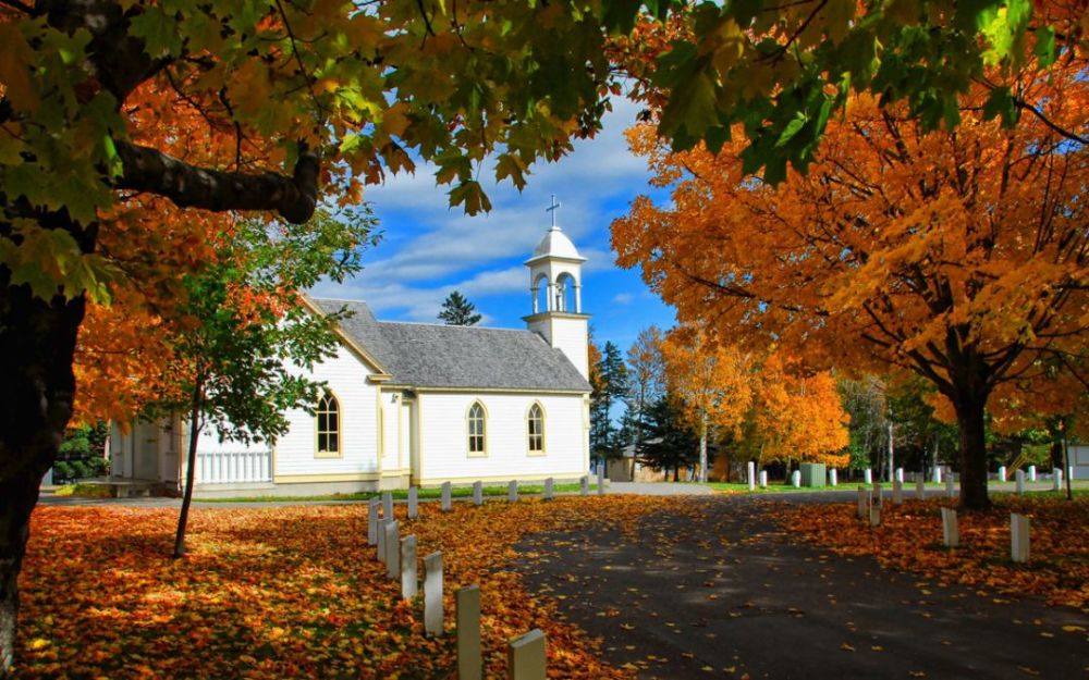 总算搞清加拿大有多少华人了?还真是出乎意料