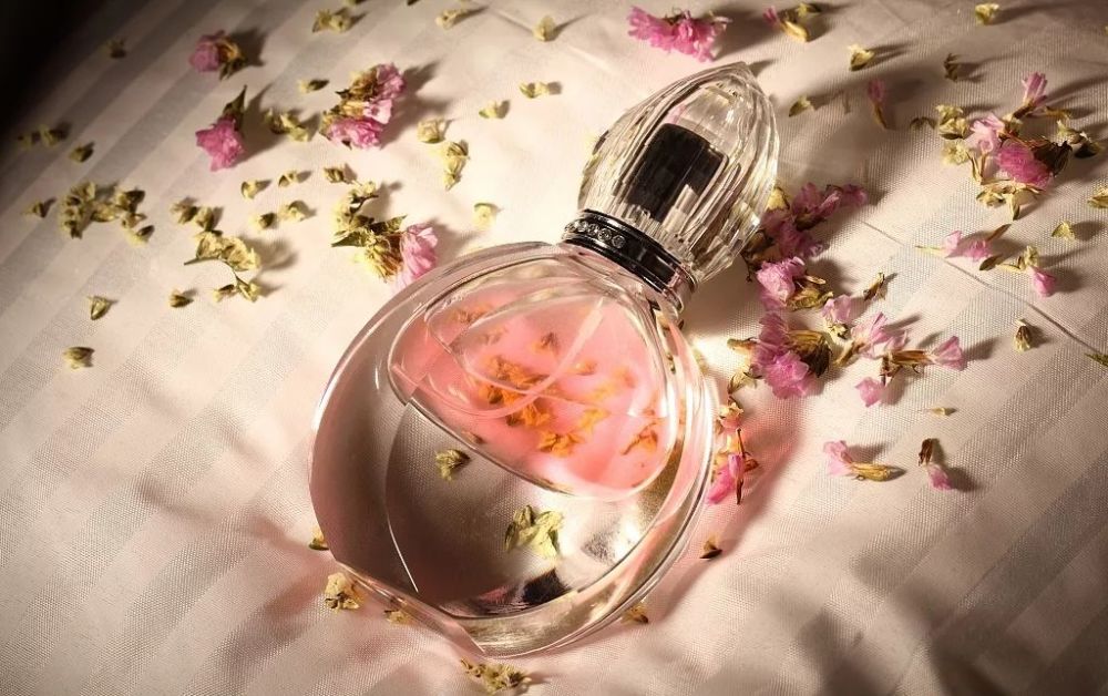 今年的情人节,西班牙人最钟意什么礼物?