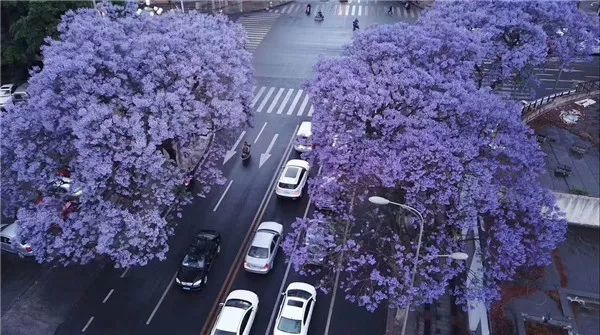 腾讯内容开放平台