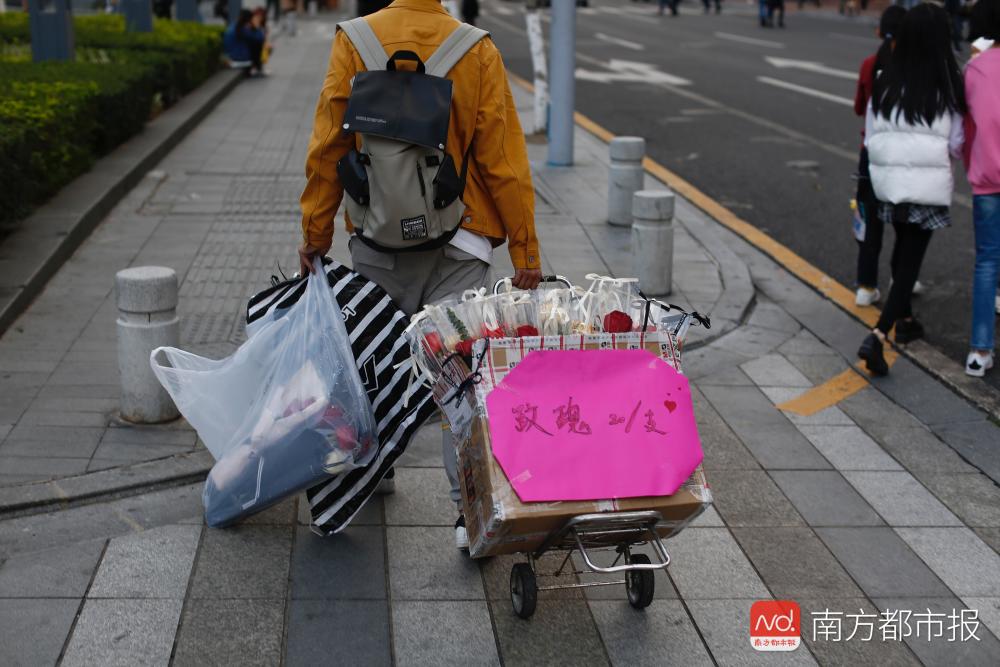 今天过节,爱情无价玫瑰有价:承惠20元一枝