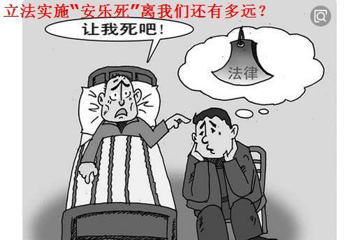 实行安乐死照片图片