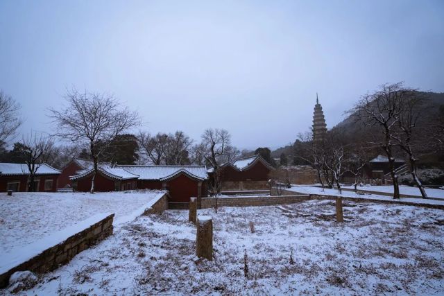 岁次己亥,灵岩落雪