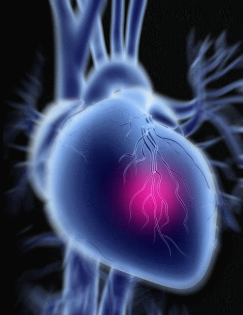 心血管造影的危害及处理准则