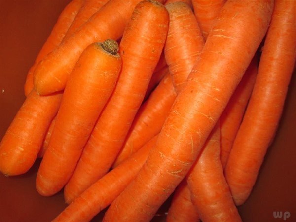 3,胡萝卜干刺红花并不同于藏红花,也是一种可以入药的药材,价格比