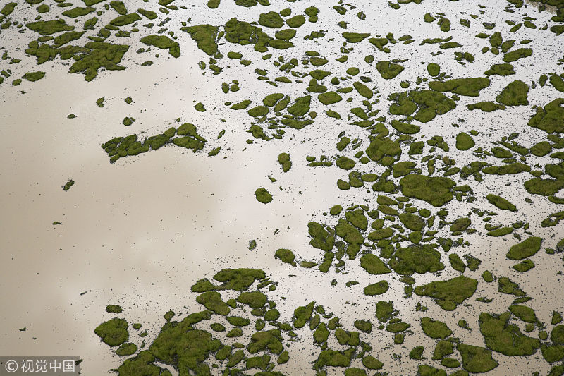 洪灾|洪灾致全国133.9千公顷农作物绝收 农产品价格何去何从？