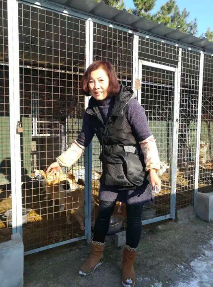 4个月小奶狗,被人用开水浇泼受伤,原因竟然是