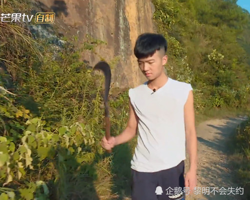 变形计:古有上官带刀,今有阔少吴越,当他说出拿刀目的,厉害了