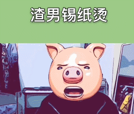 这个视频就是一头"猪"在讲一段话---渣男锡纸烫,渣女大波浪,绿茶
