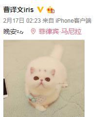 最真实的上海名媛,穿10万欧元的迪奥高定,巴黎