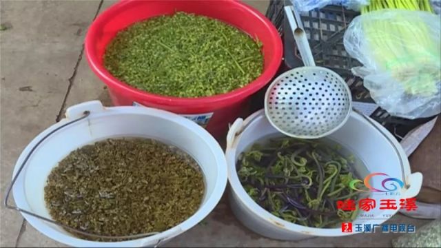 走进菜市场,各种野菜已经摆上菜摊,吸引了顾客纷纷驻足.