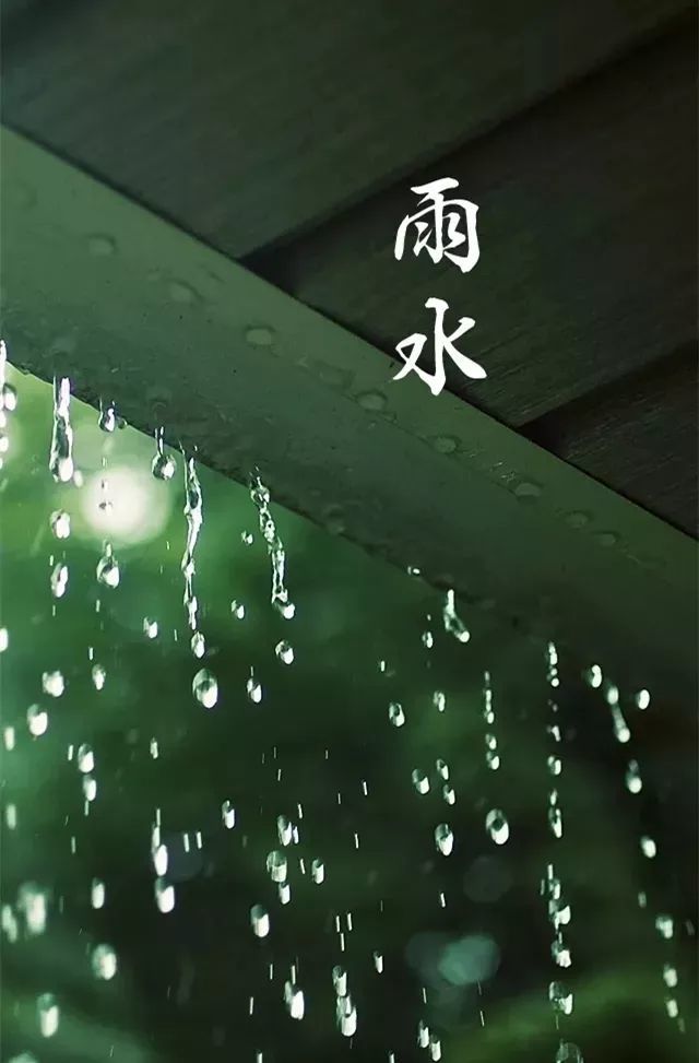 雨水好雨知时节当春乃发生