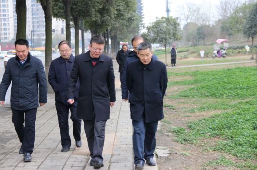 钟思勇到大丰街道督查"电视问政"整改情况