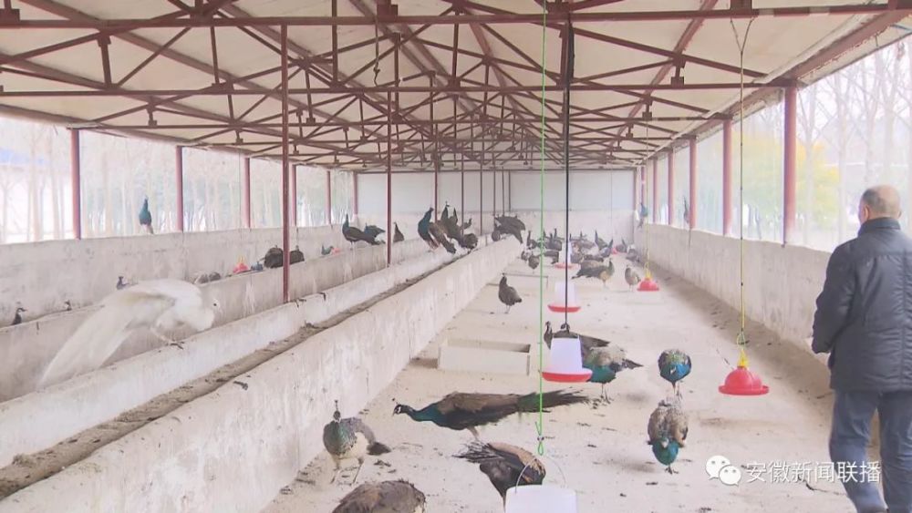 新年新气象:凝心聚力 为民谋福祉