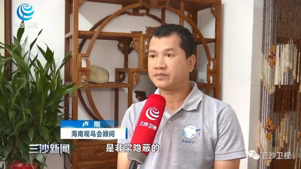 海南观鸟会顾问 卢刚