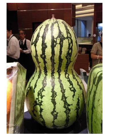 世界上最"奇葩"的5种西瓜,切开后彩色西瓜,你见过吗?