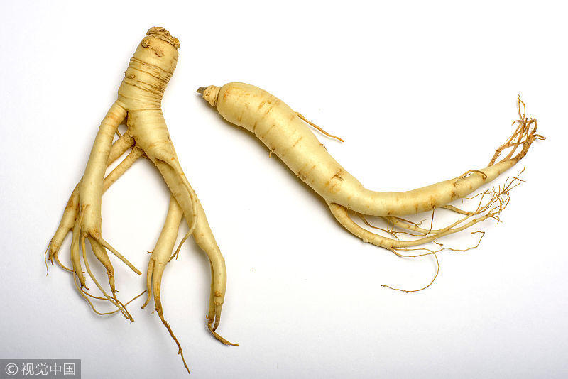 元力参堂园参比野山参便宜很多是什么原因