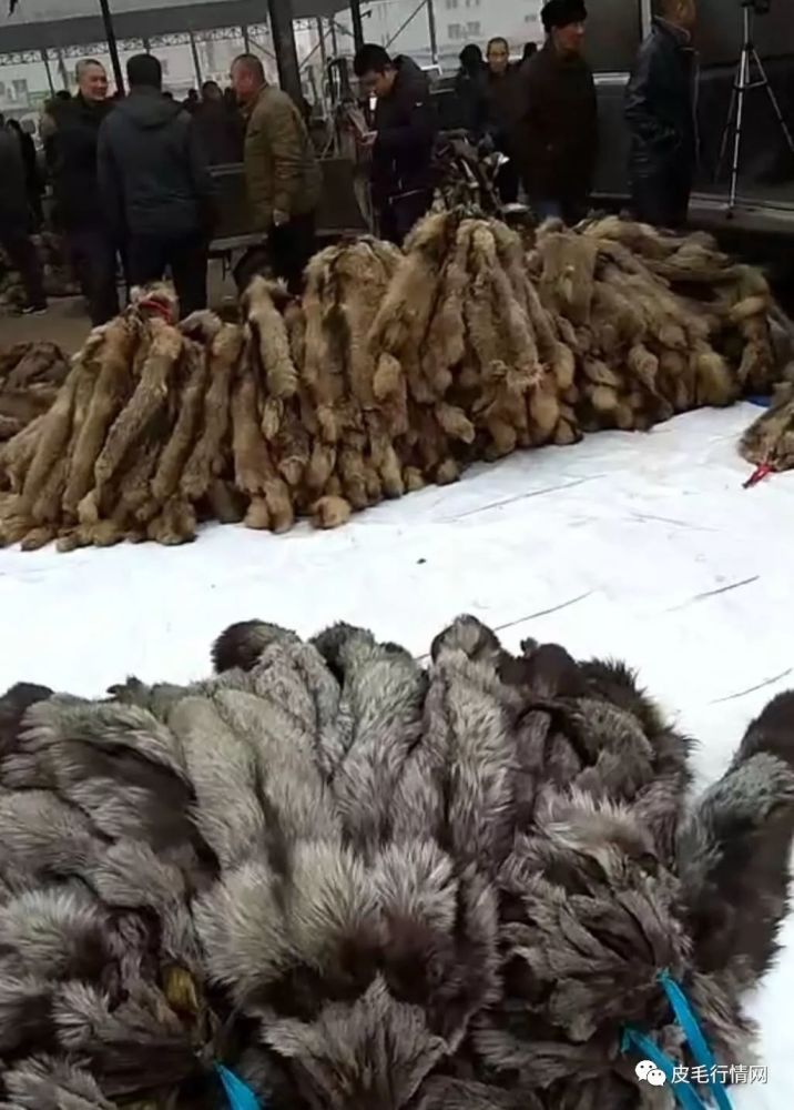 尚村皮毛市场行情【正月十六】