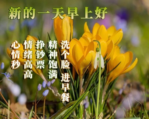 2019早上好問候朋友的陽光心語,暖人心的早上好圖片帶字