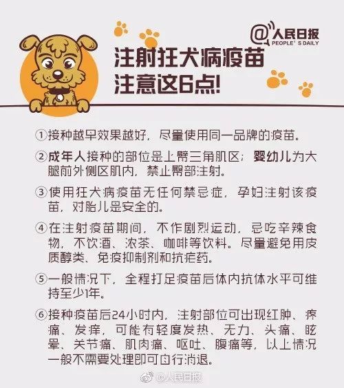 被狗舔后40天9岁孩子突然死亡养宠物一定注意