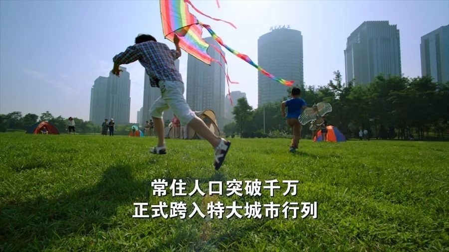 信阳经济总量新闻_信阳毛尖图片(3)
