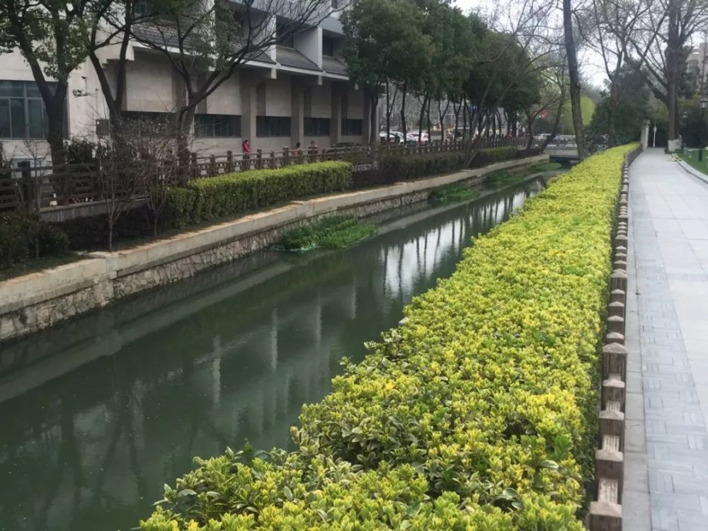 改善水环境,提升获得感!