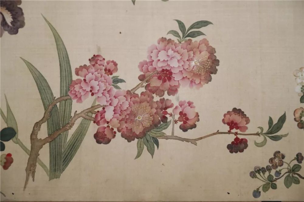清·邹一桂《百花图》卷(局部)