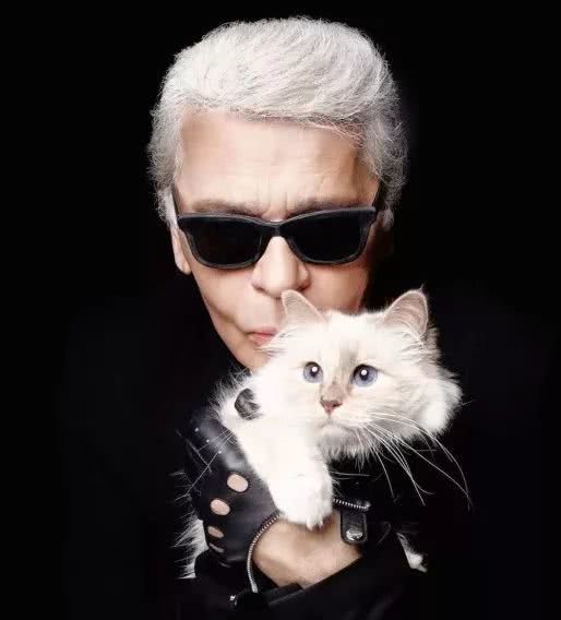 老佛爷的爱猫泡芙能否继承老佛爷的遗产?