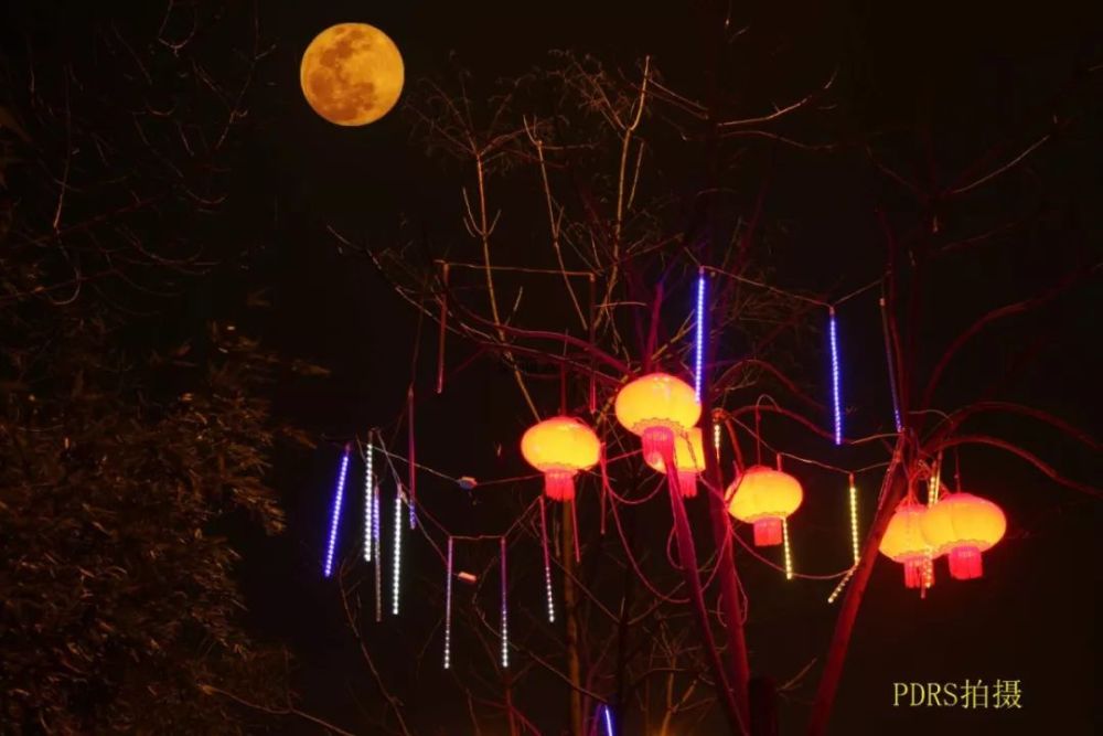 平顶山5G网速有多快?带你来感受下