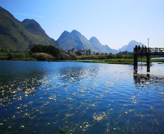 广西有一条"花河",清澈的水面铺满了花朵,还不来见识一下吗?
