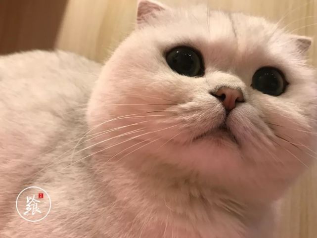 腾讯内容开放平台
