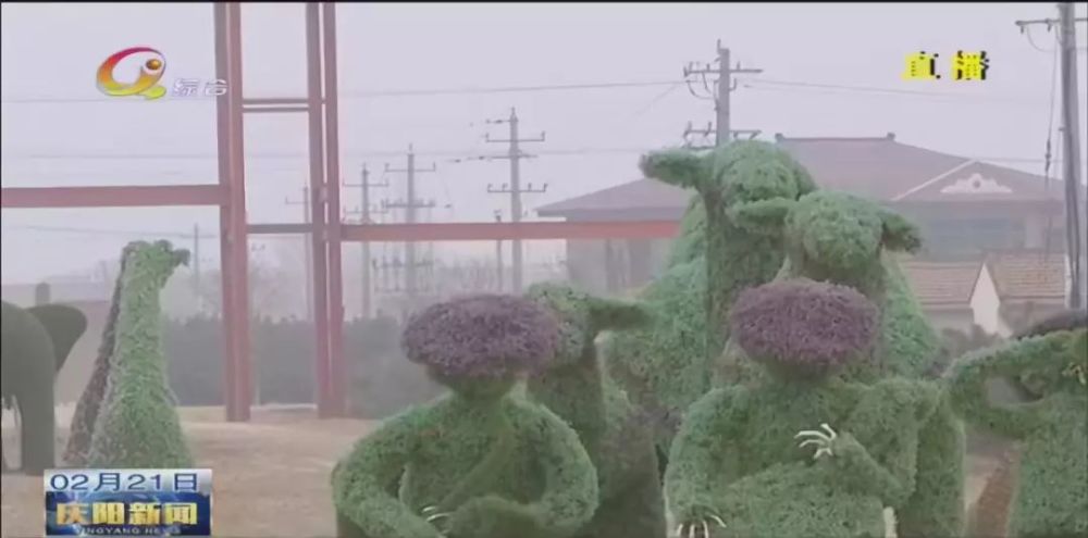 庆阳:牵住项目牛鼻子推动特色产业发展