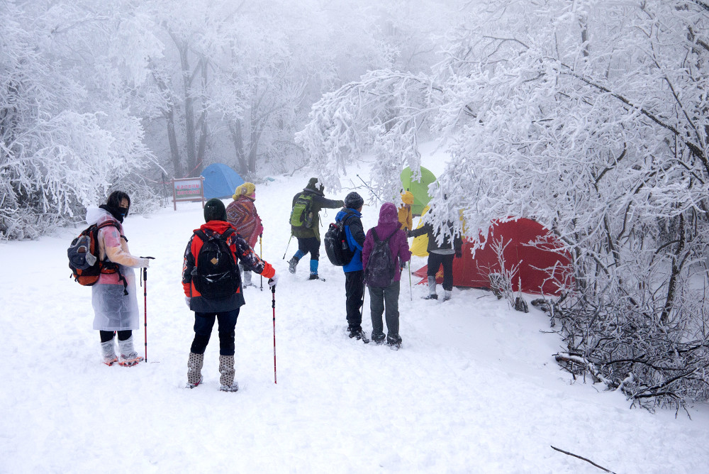 杭州藏着一个 雪国 每年只有在春冬出现 景色不比东北雪乡差