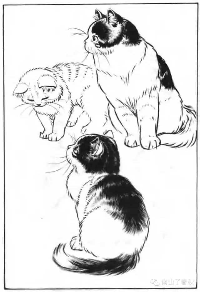 画猫动态技法百图