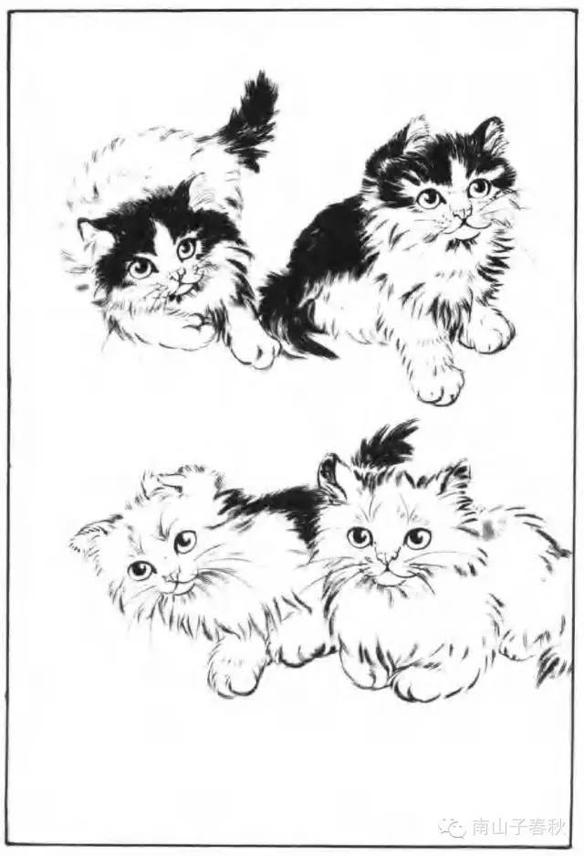画猫动态技法百图