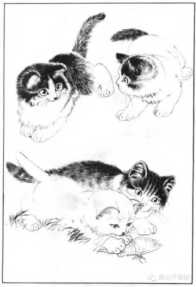 画猫动态技法百图