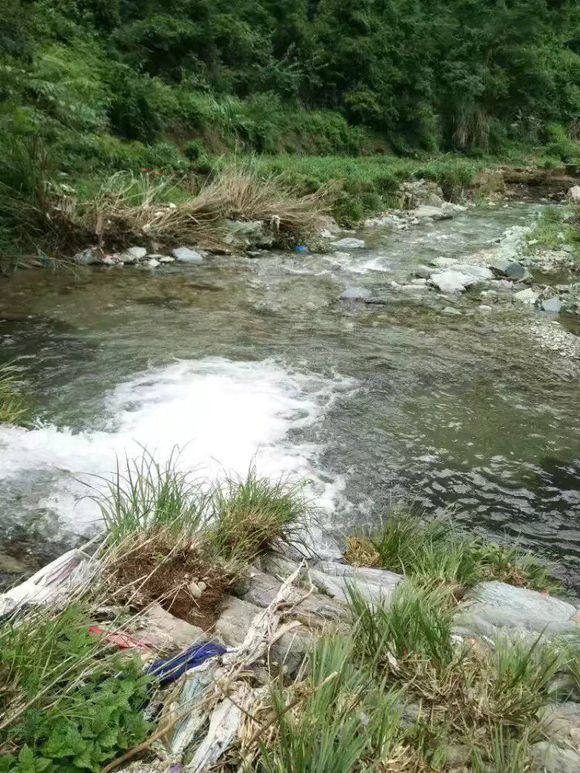 钓小鱼没意思?山里钓到罕见溪石斑,却被