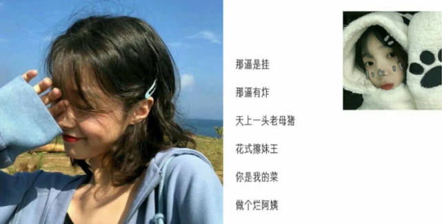 贼沙雕的吃鸡优秀网名一起开黑请扣1网友稳如狗