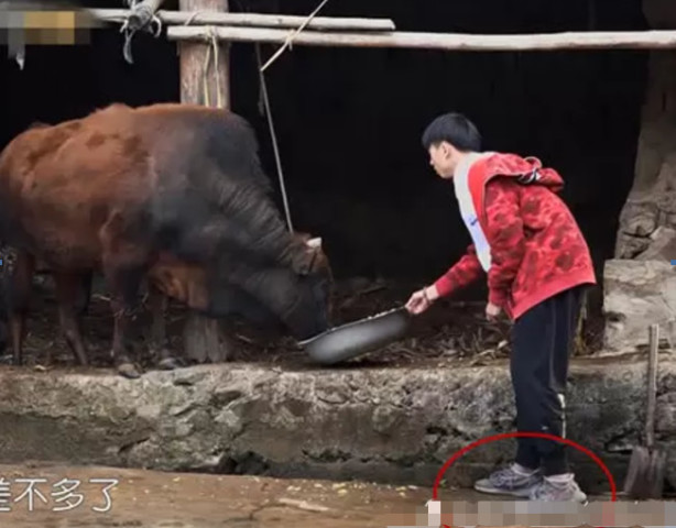 变形计:王烨飞去干活喂猪,当看到他的鞋子,网友:羡慕