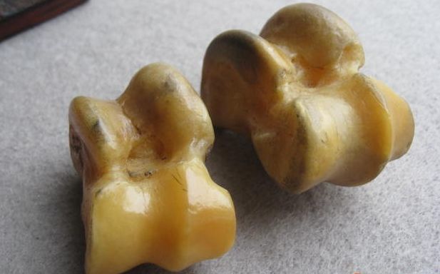 嘎拉哈你们那边叫它什么名字小时候都玩过