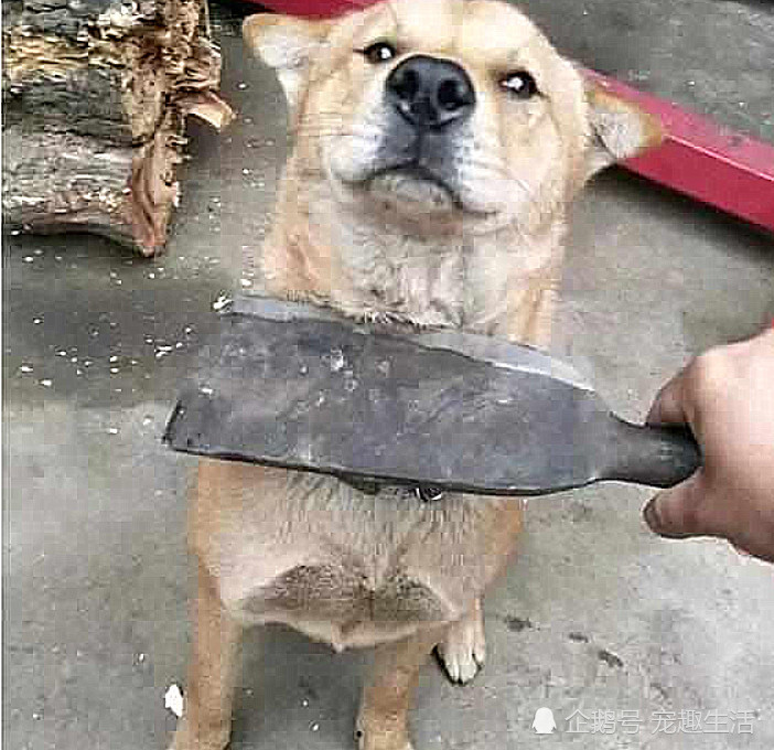 什么软什么硬的成语_成语故事简笔画(3)