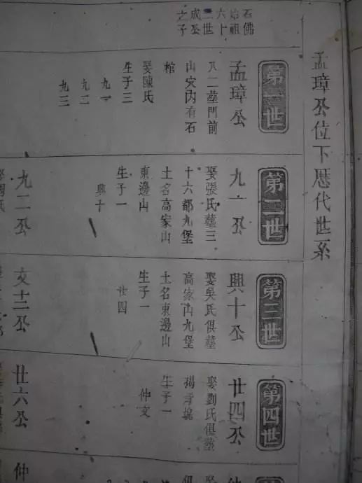 写家谱世系,第一世从哪一代说起?
