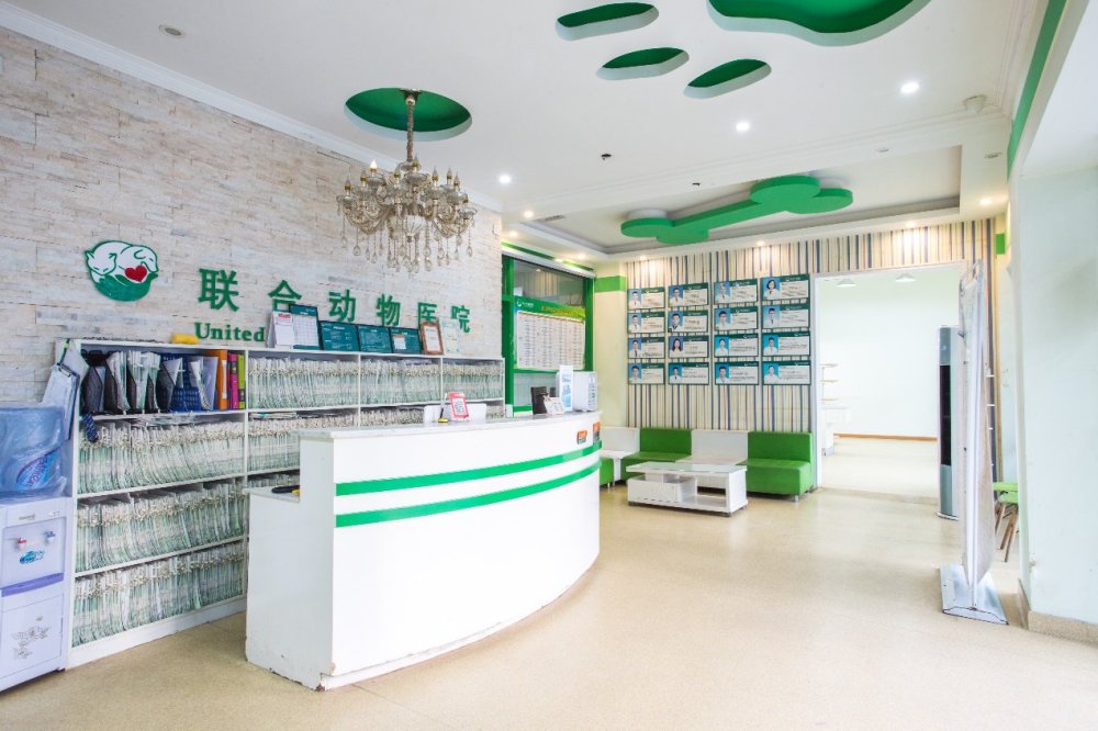 新奇特宠物生病不用愁,异宠专家门诊现江城