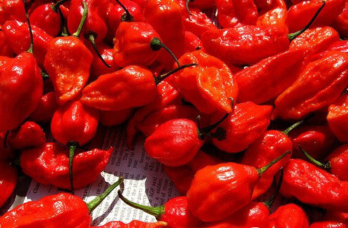 世界最辣的辣椒:第一名连名字都这么霸气,堪称