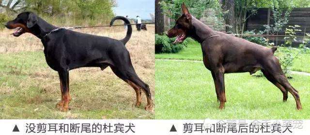腾讯内容开放平台