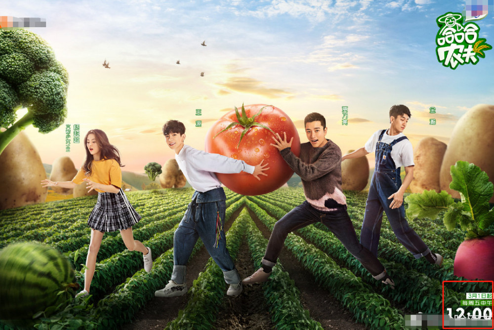 杨超越新综艺阵容豪华,搭档金瀚不算啥,连王源