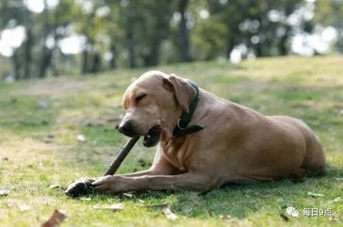 腾讯内容开放平台