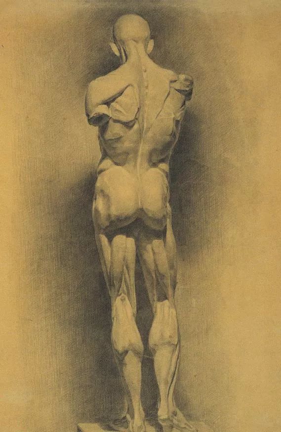 素描|超高质量的素描留校作品！