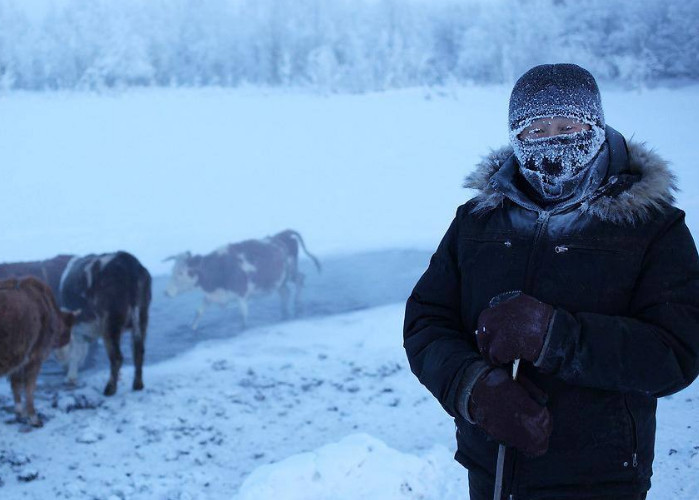 俄罗斯气温最低的地方,可达到零下71度,想活命只能吃肉