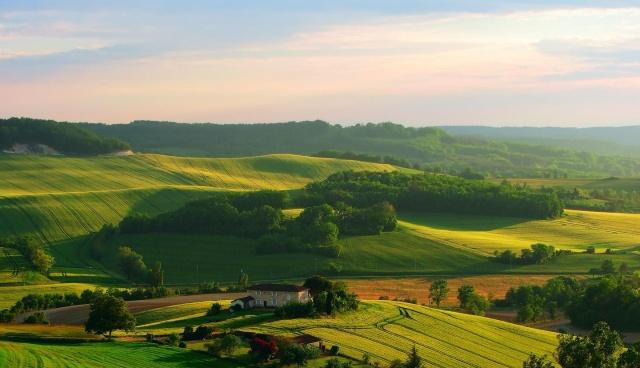 脑筋急转弯:狼来了,打一水果名?答案让人笑